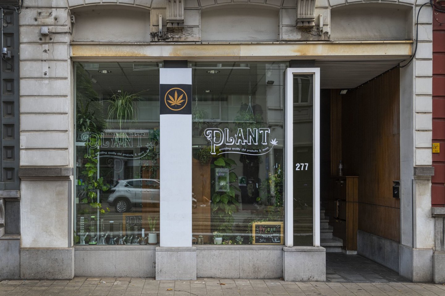 Etalage van bloemen- en plantenwinkel Plant in Gent