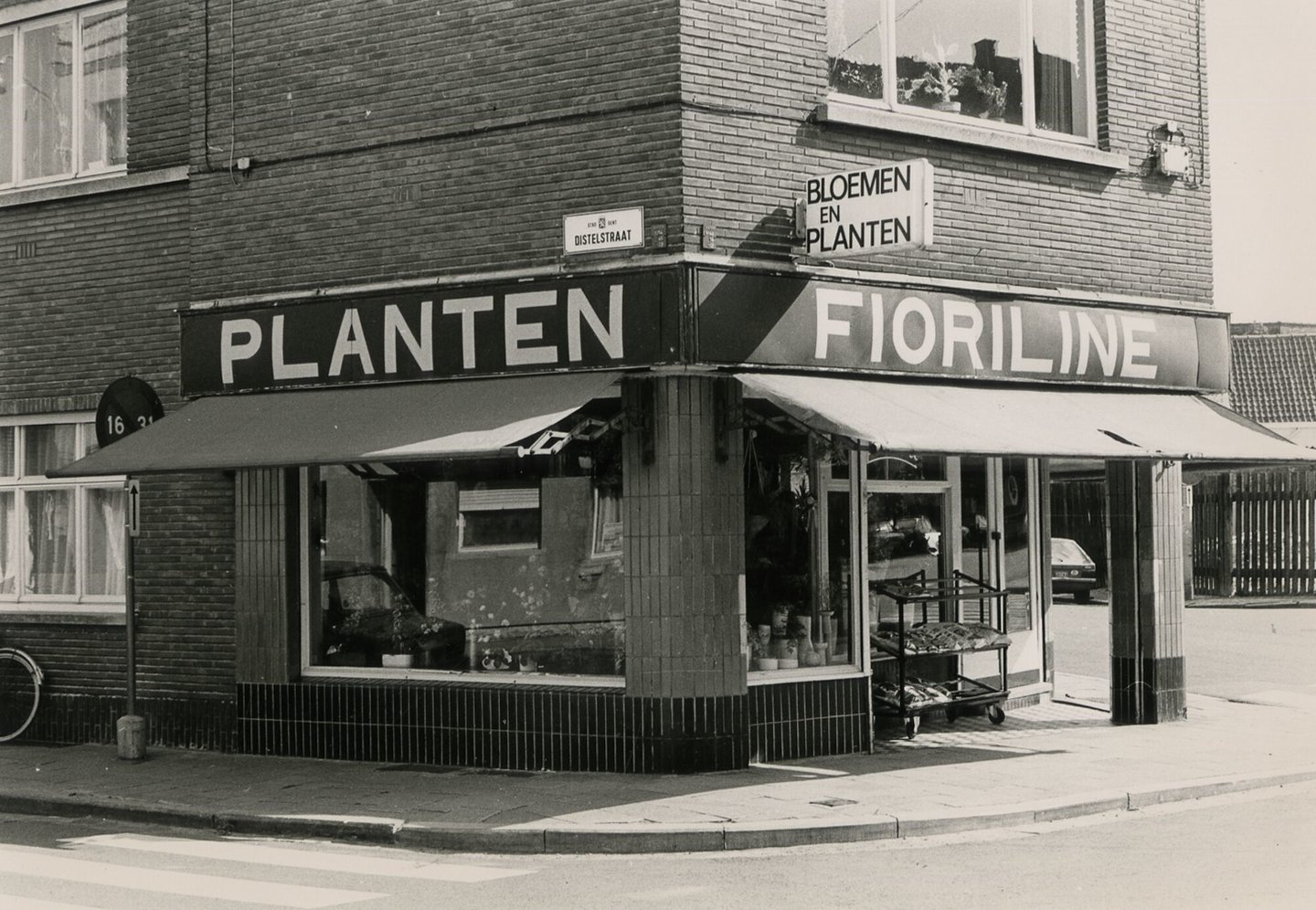 Etalage van bloemenwinkel Fioriline in Gent