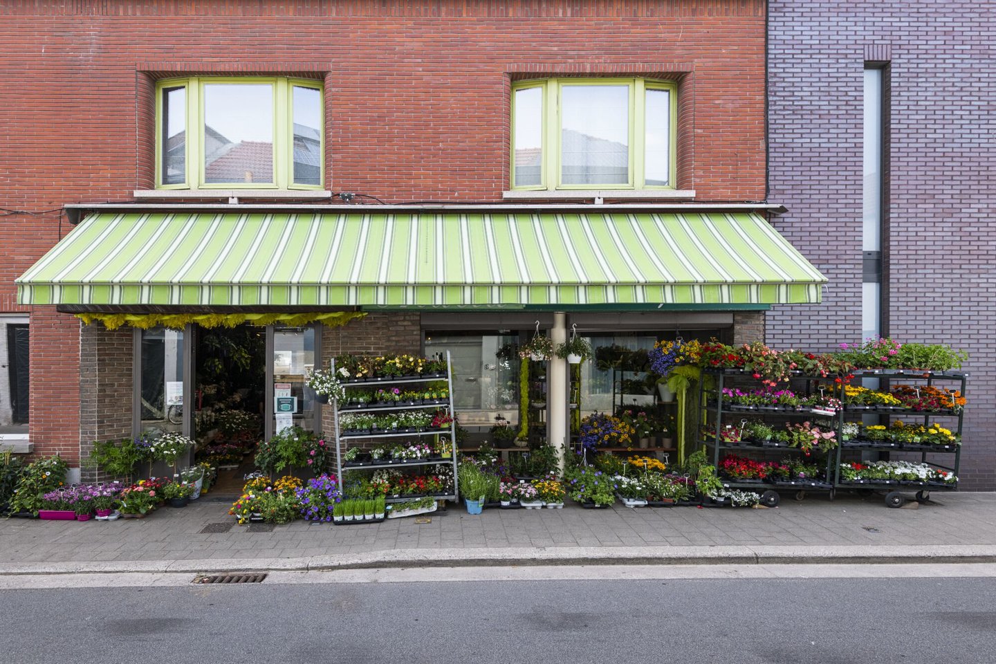 Etalage van bloemen- en plantenwinkel Acacia in Gentbrugge