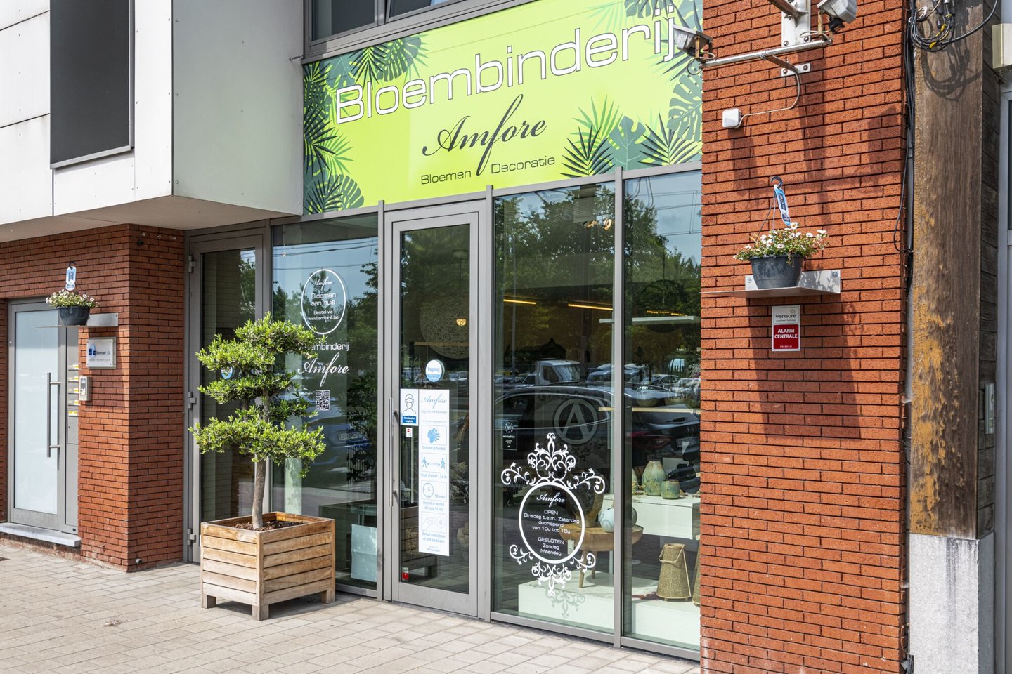 Etalage van bloemen- en plantenwinkel en bloembinderij Amfore in Gentbrugge