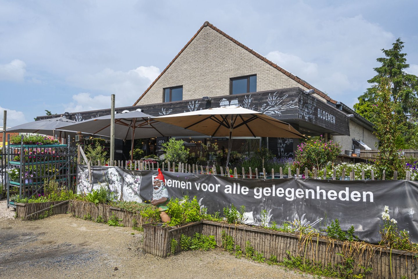 Etalage van bloemen- en plantenwinkel Jos in Drongen