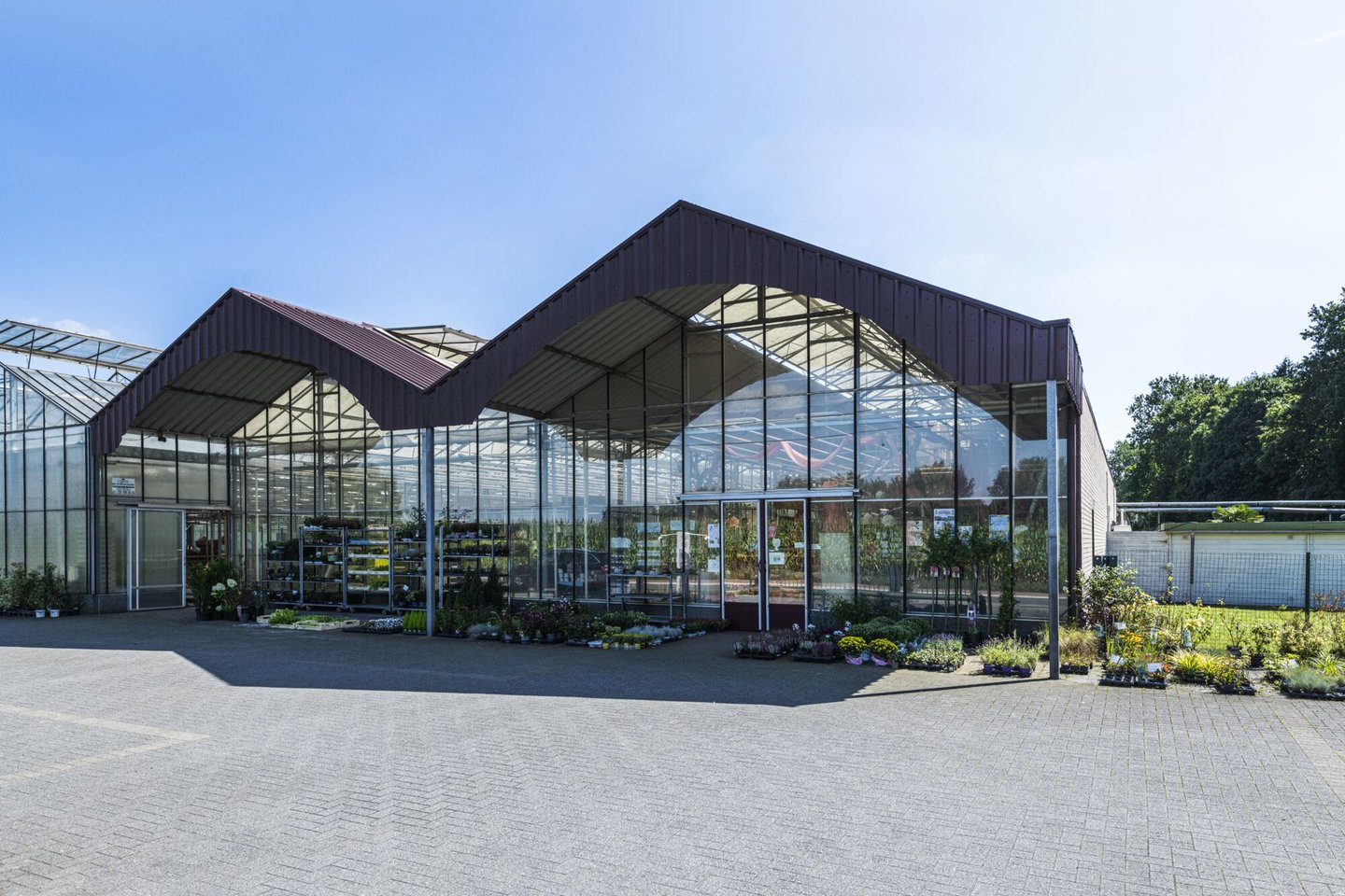 Etalage van bloemen- en plantenwinkel Floorke in Desteldonk