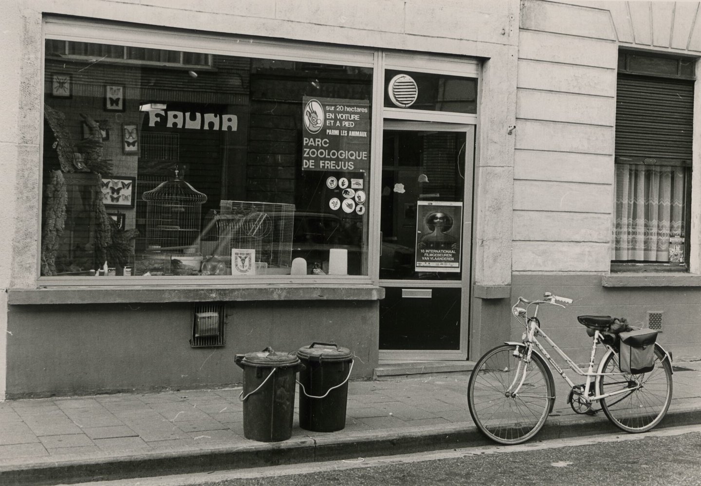 Etalage van Fauna, een winkel van huisdierenartikelen in Gent
