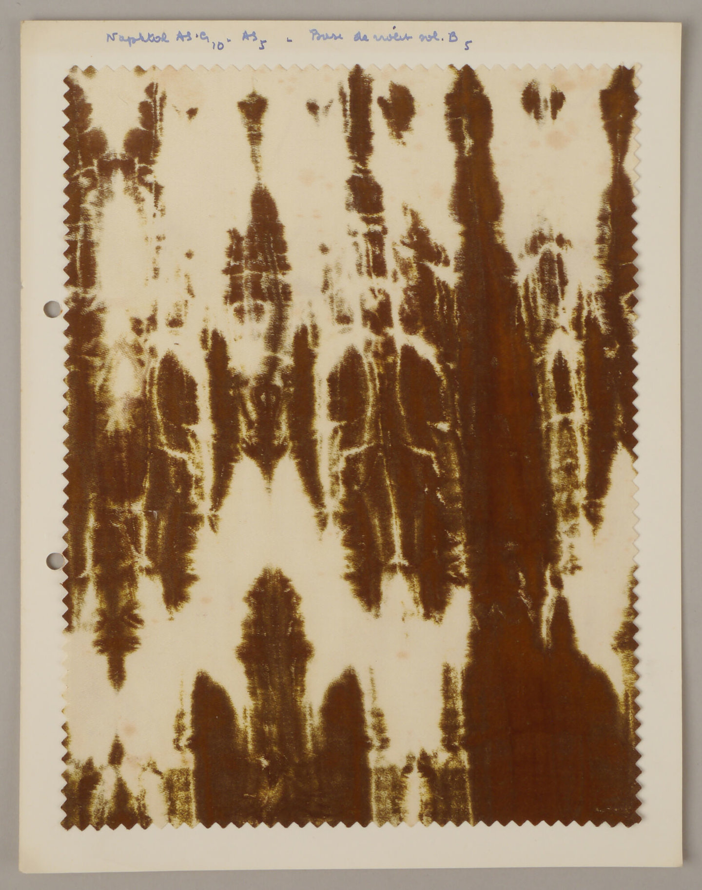 Bedrukte textielstaal geproduceerd door TAE in Destelbergen