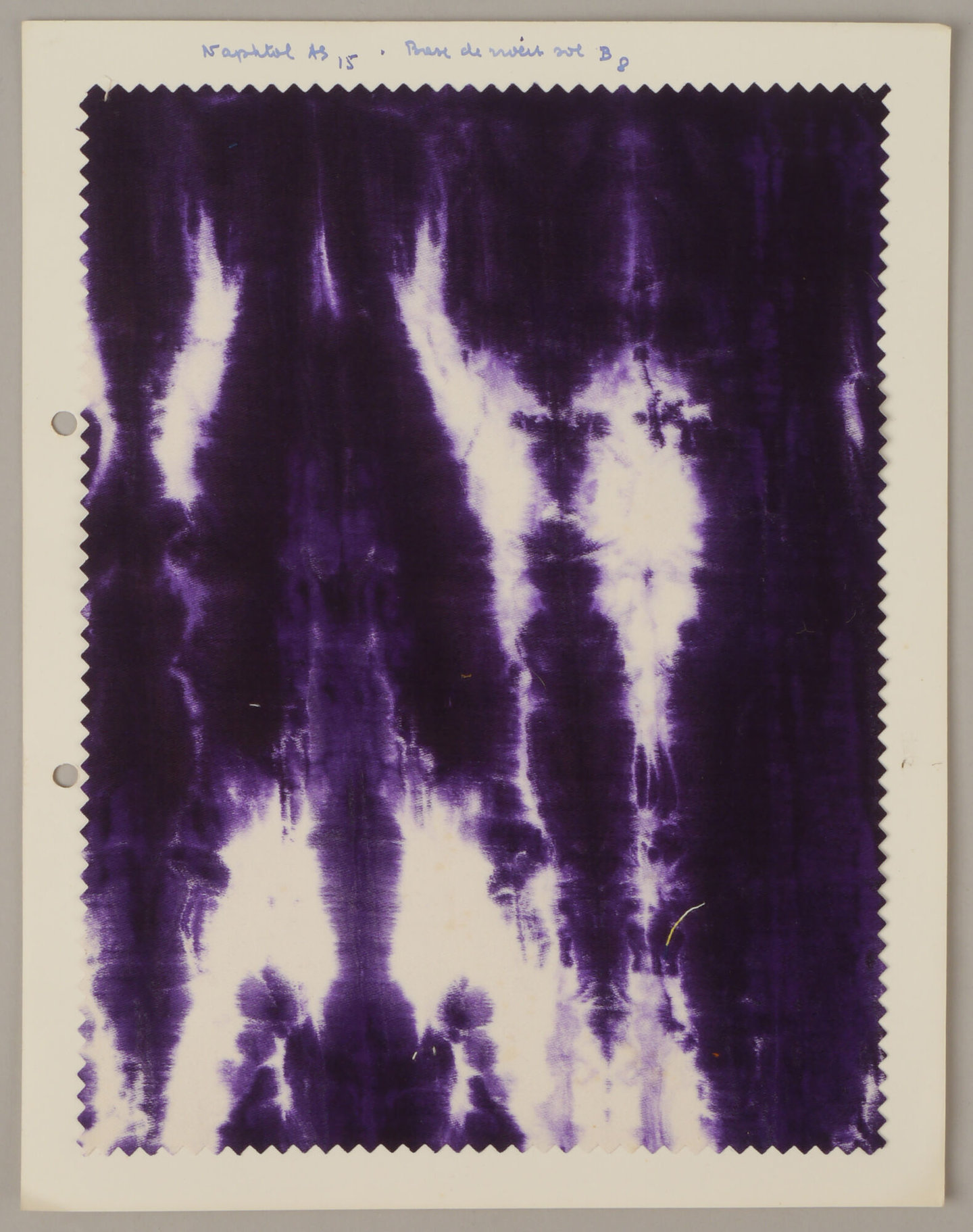 Bedrukte textielstaal geproduceerd door TAE in Destelbergen