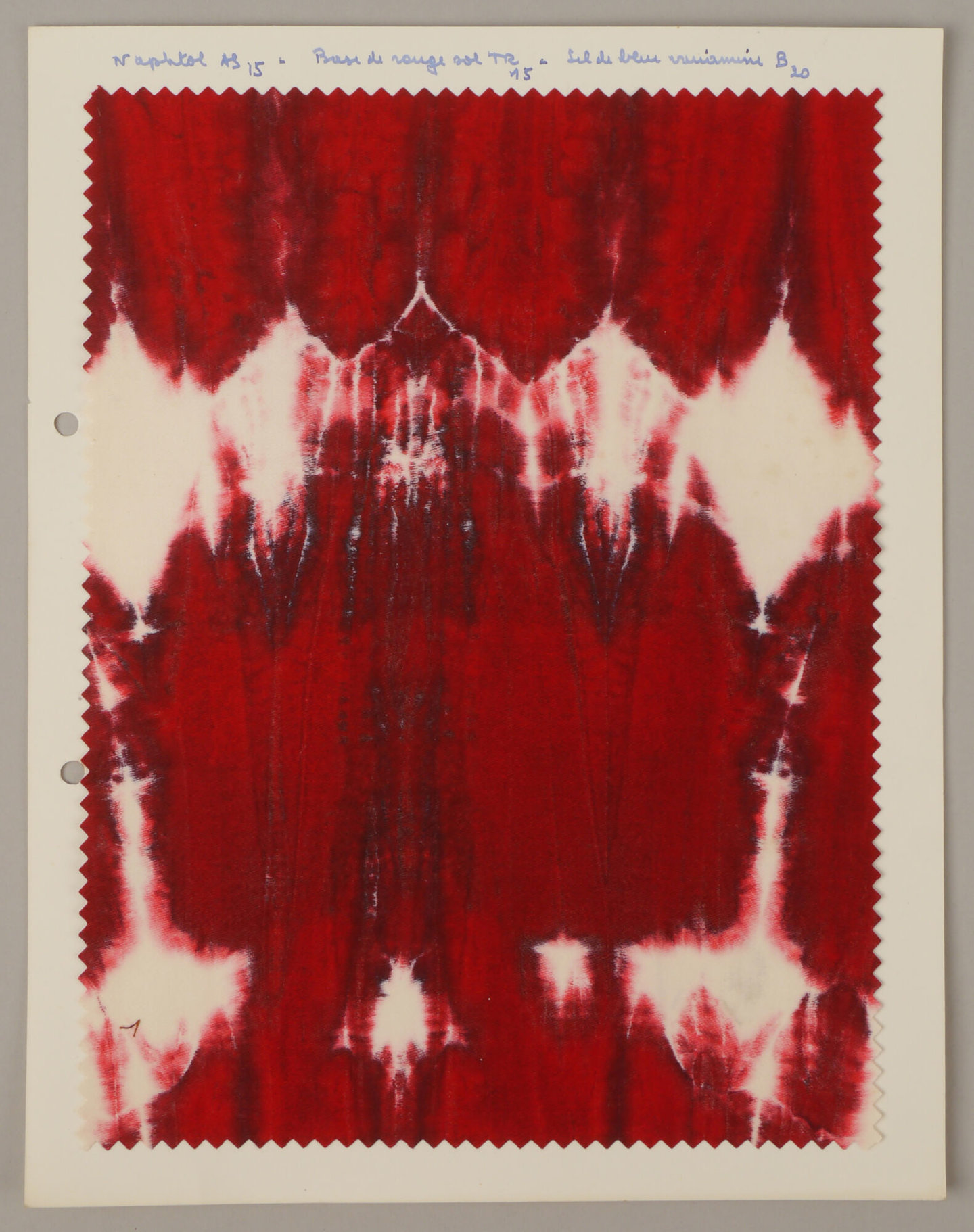 Bedrukte textielstaal geproduceerd door TAE in Destelbergen