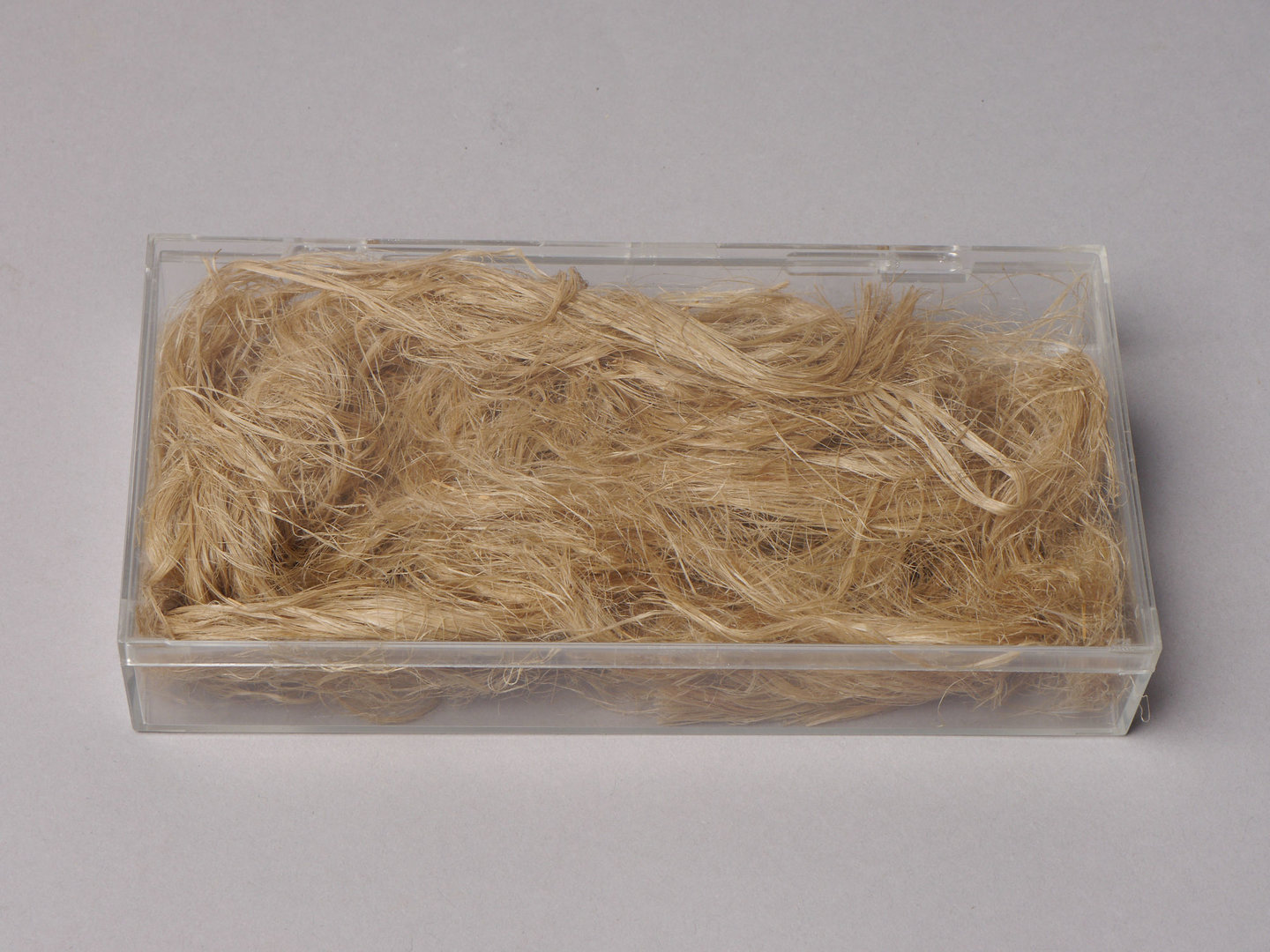 Staal van vlas (breekvlas waterroot)
