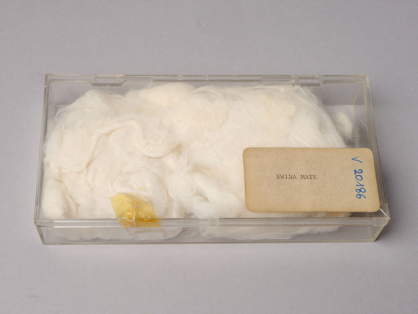 Staal van swina mate