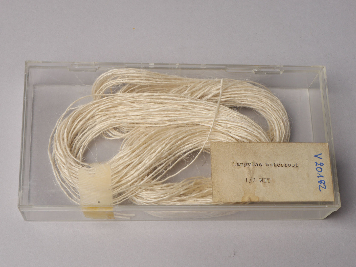 Staal van 1/2 wit vlas (langvlas waterroot)