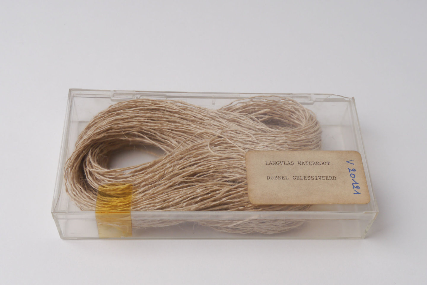 Staal van dubbel gelessiveerd langvlas (waterroot)