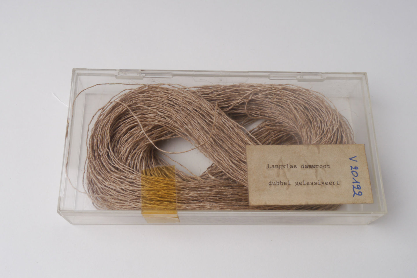 Staal van dubbel gelessiveerd langvlas (dauwroot)