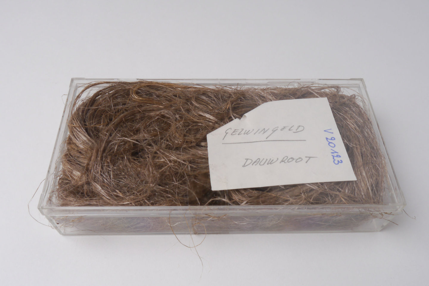 Staal van gezwingeld vlas (dauwroot)