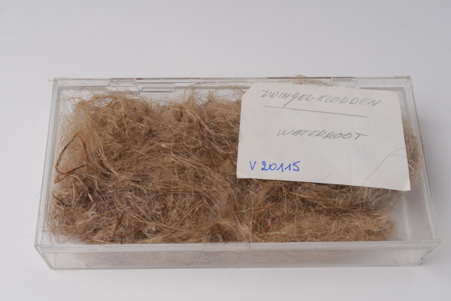 Staal van zwiggelklodden van vlas (waterroot)