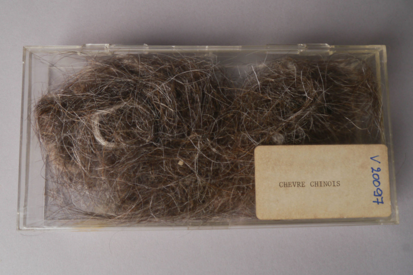 Staal van wol van een Chinese geit