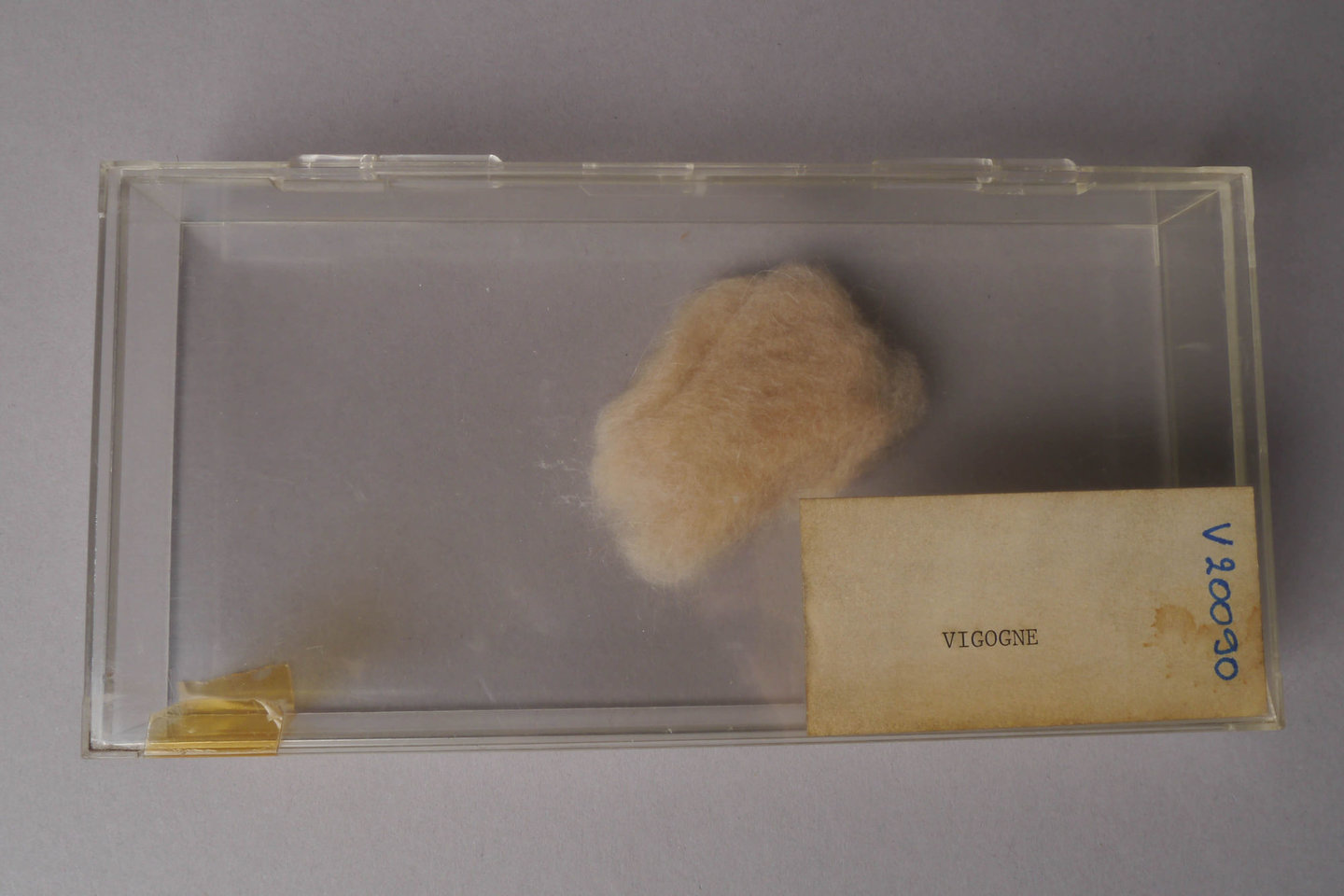 Staal van wol van de vicuna