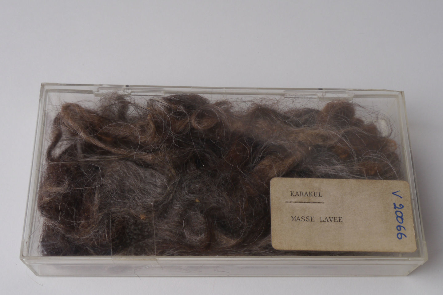 Staal van gewassen karakul wol