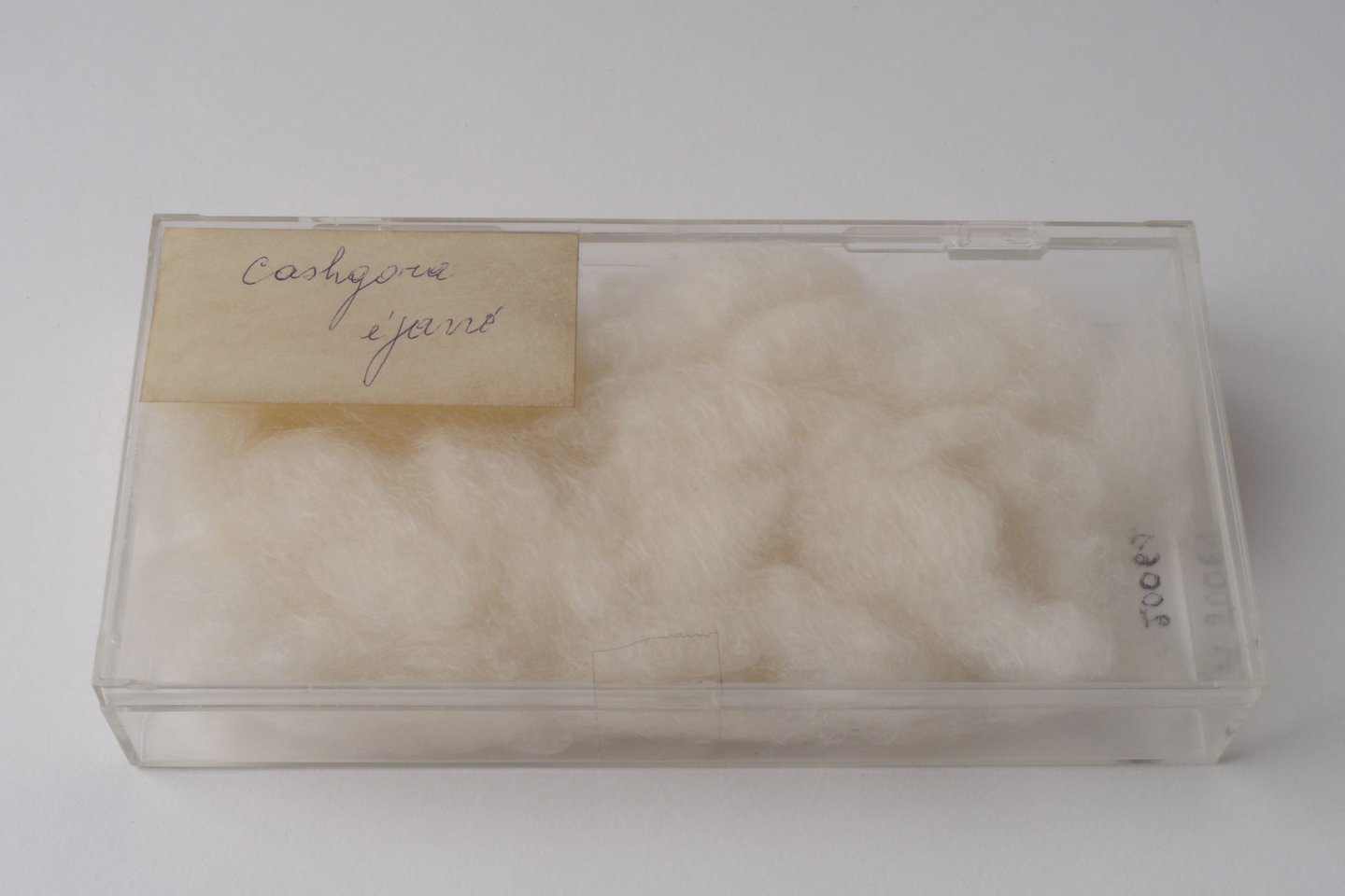 Staal van geplukte kasjgora wol