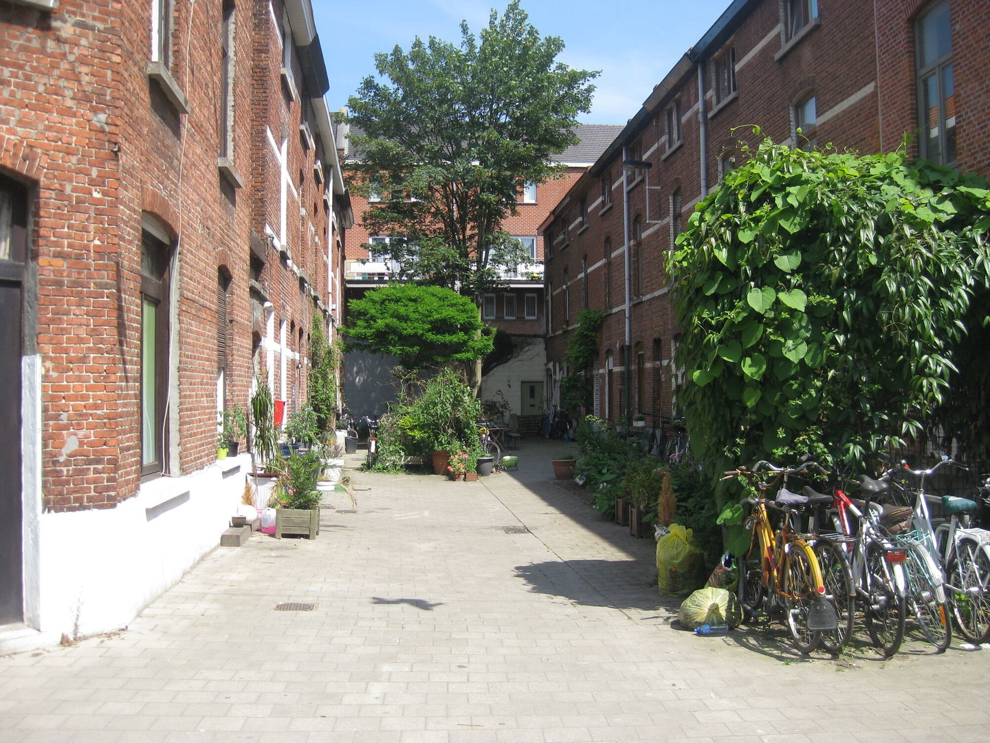 Beluik Rodelijvekensstraat, Gent