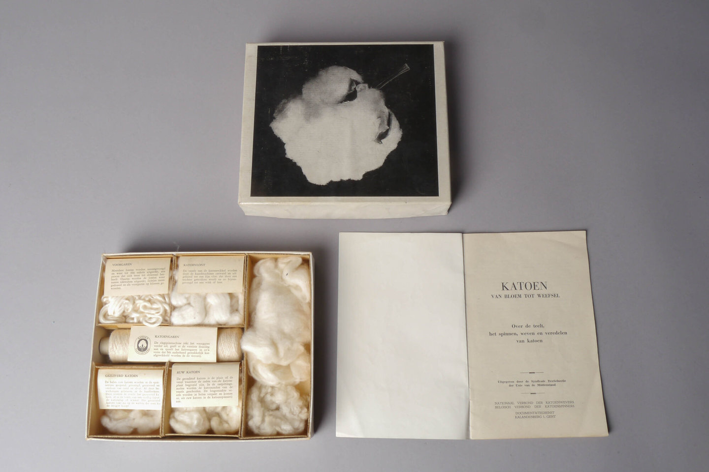 Didactische stalendoos 'Katoen, van bloem tot weefsel'